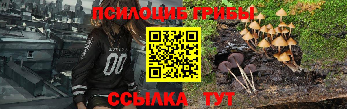 Псилоцибиновые грибы прущие грибы Когалым