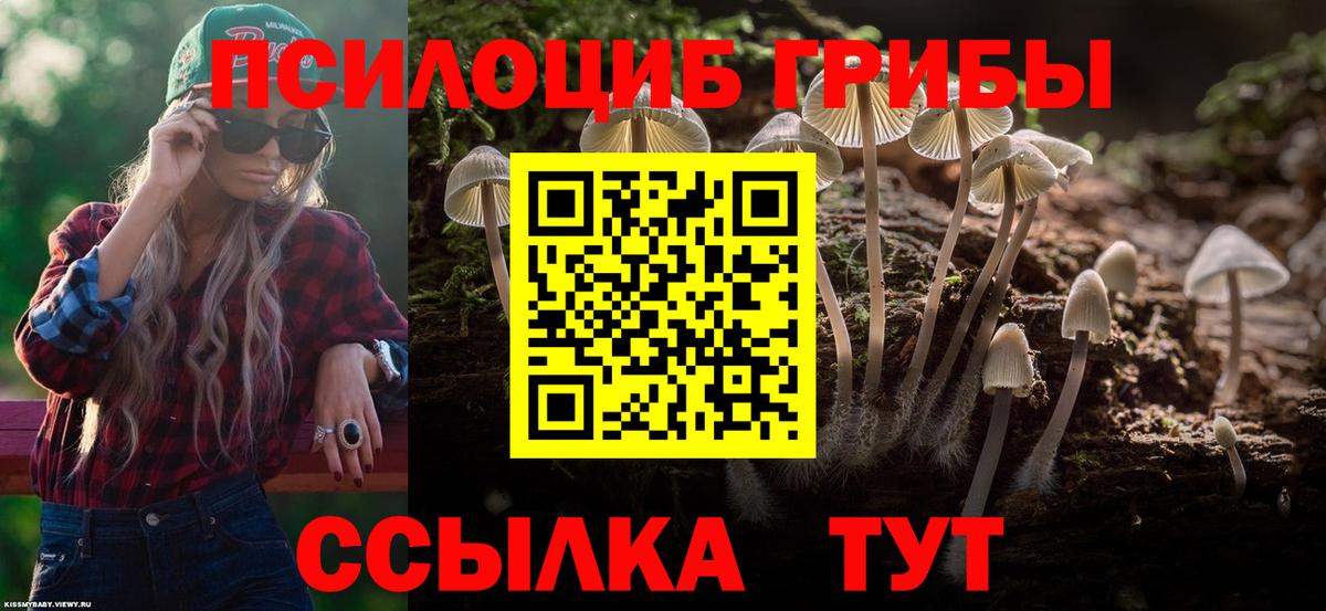 как найти закладки  Галлюциногенные грибы мицелий  Вход с VPN  Когалым 